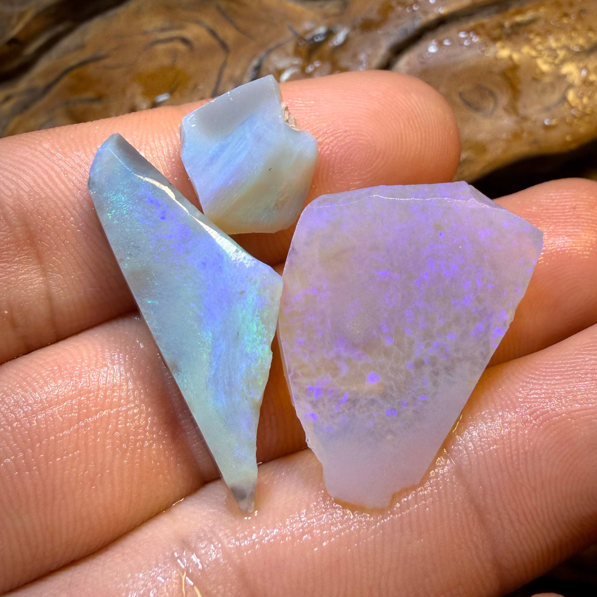 34.4cts - 3x Lightning Ridge Opal Rough Parcel