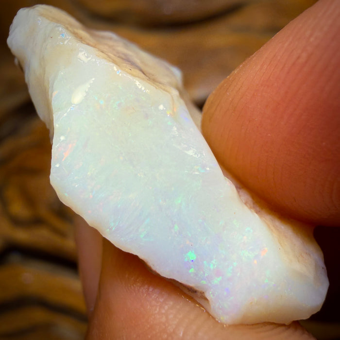 34.4cts - South Australian White Opal Rough Piece