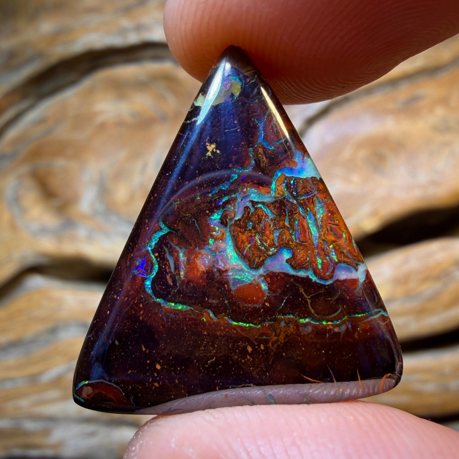34.5cts - Tribal Koroit Nut Opal. Australian Opal