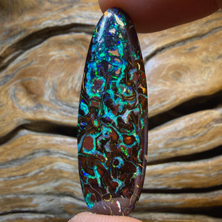 34.7cts - TOP Tribal Queensland Boulder Opal from Koroit. Double Sided