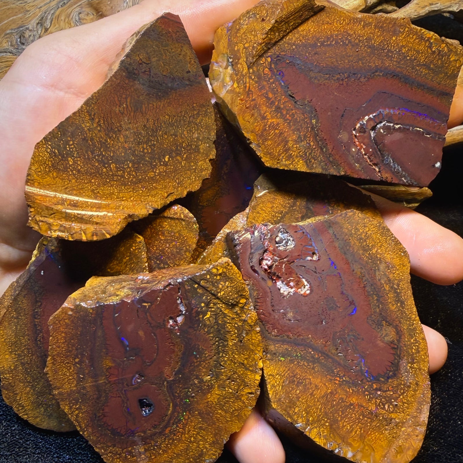 3403cts - 8x Yowah Nut Tribal Opal Rough Parcel. Australian Boulder Opal