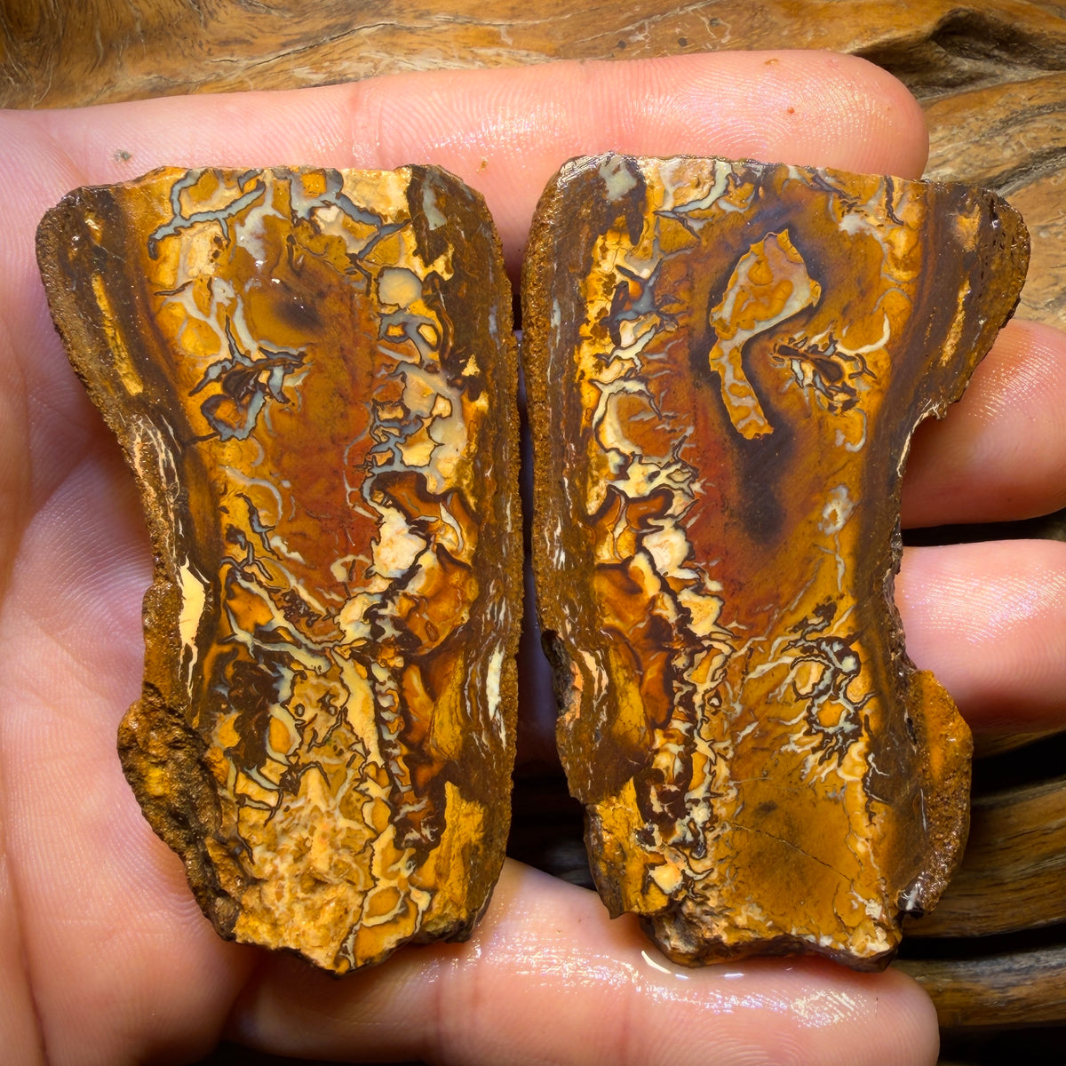 343.7cts - Yowah Nut Tribal Opal Rough Specimen Pair