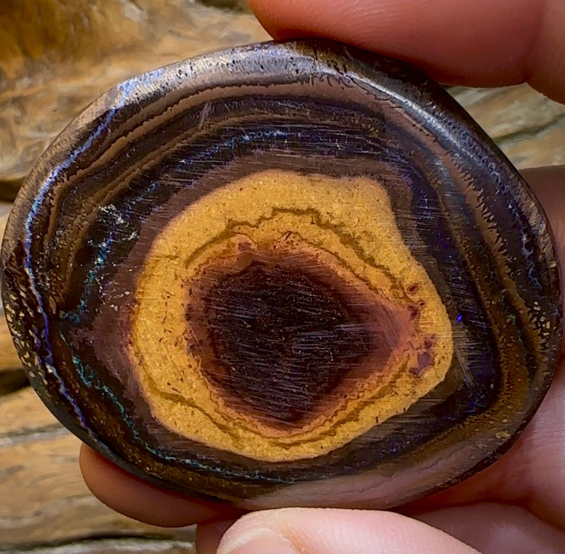 212.3cts -  “Mystic Eye”Polished Yowah Nut Opal Specimen - Opal Whisperers