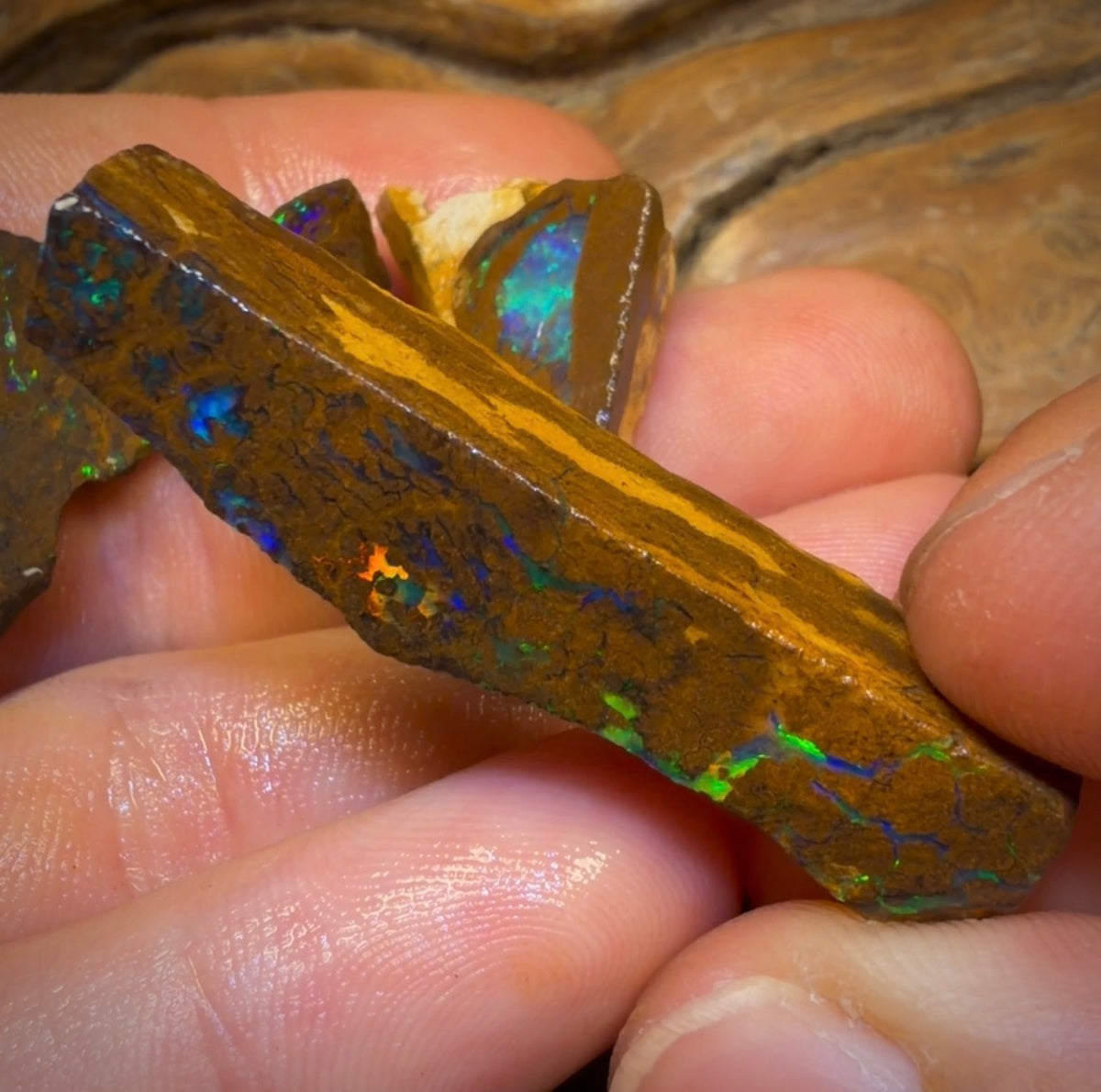 🔒99.2cts - 5x Australian Boulder Opal Rough Parcel
