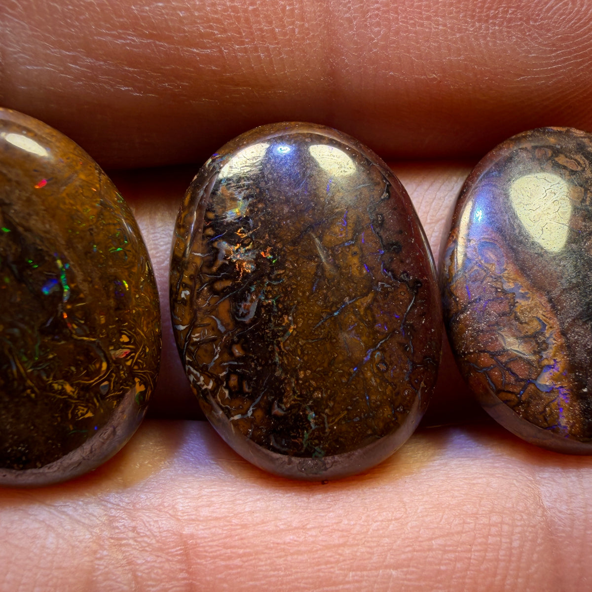 48.3cts - 3x Australian Tribal Boulder Opal’s. Wholesale Parcel