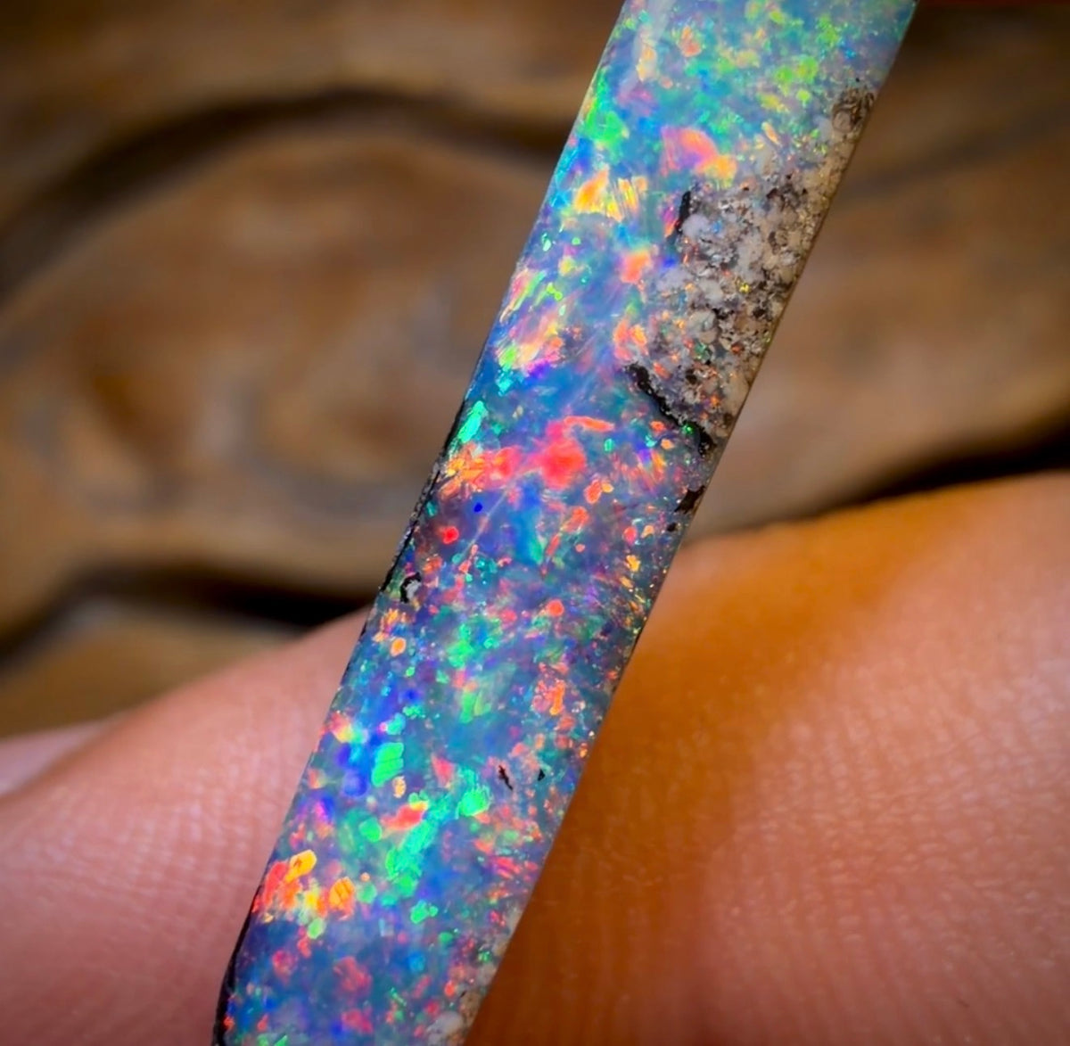 10.1cts - GEM Queensland Boulder Seam Opal. Red Multicolours!