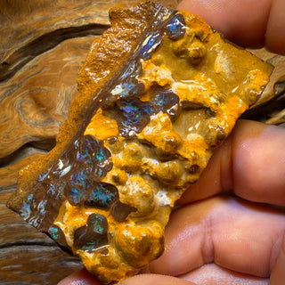 347,3 ct - Énorme opale brute de Yowah à potentiel de sculpture intégrale. Bande en bulles