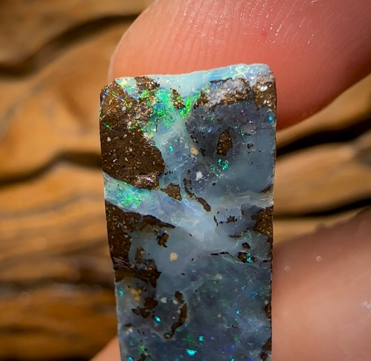 49.5cts - Australian Boulder Opal Rough Preform. Natural Split - Opal Whisperers