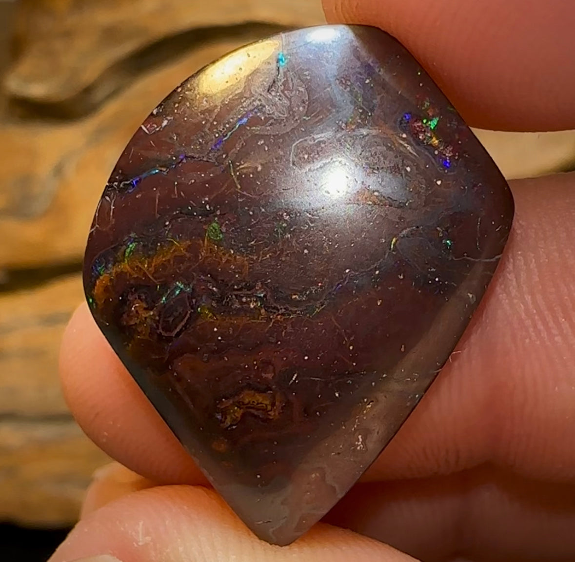 31.6cts - Queensland Boulder Opal from Koroit - Opal Whisperers