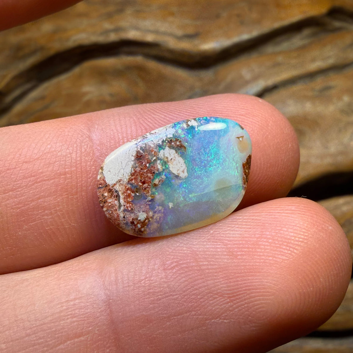 🔨 AUCTION 🔨 💎 High Roller Banger Auction 💎 5.5cts - Solid Australian Boulder Pipe Opal