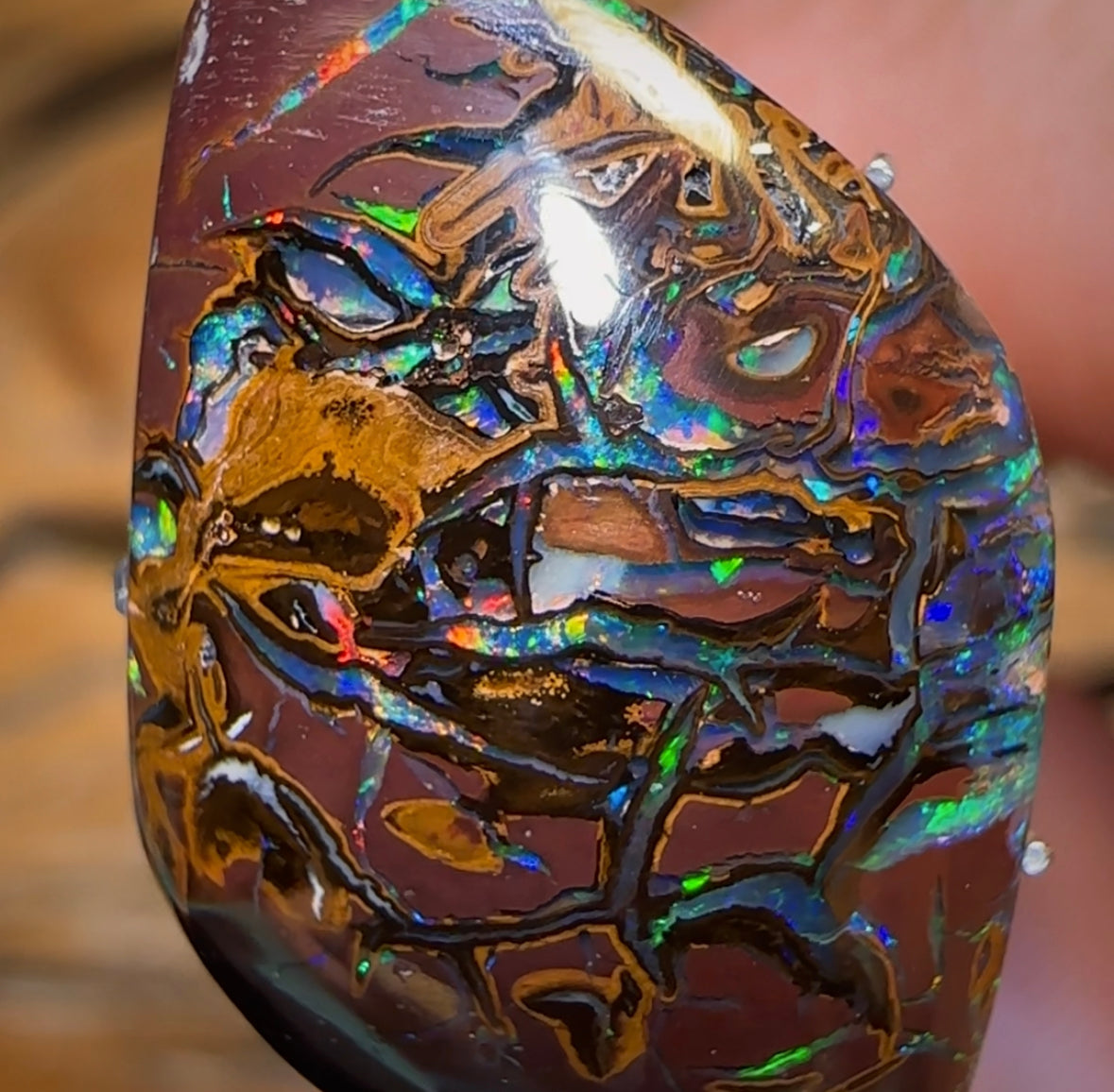 14,9 carats - Opale Boulder du Queensland de Koroit, de couleur tribale supérieure et électrique