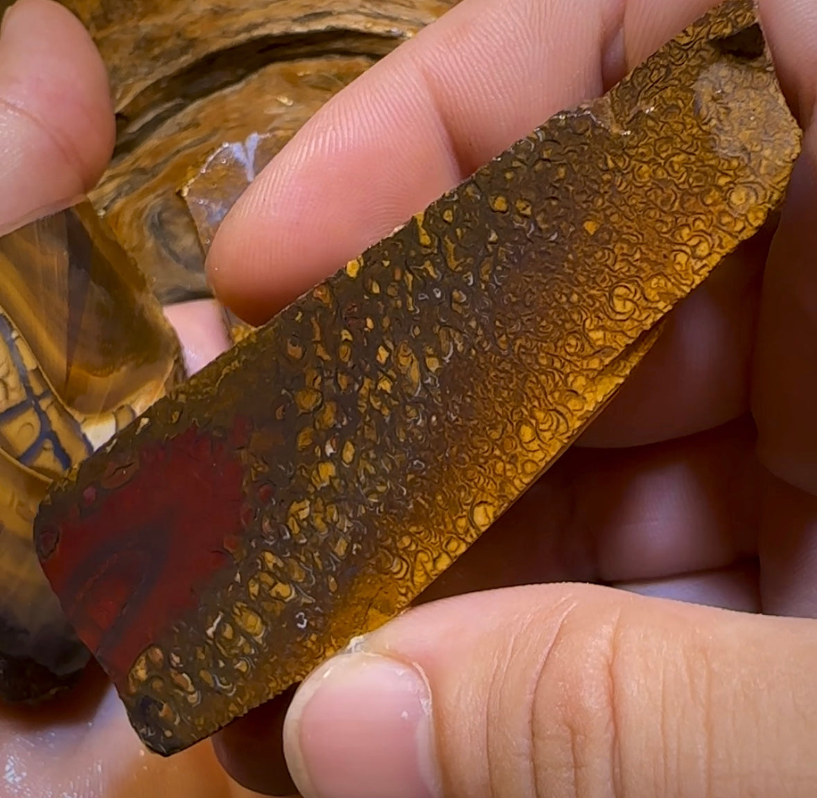 222.7g - 5x Yowah Nut Matrix Rough Slabs. Boulder Opal Parcel BARGAIN - Opal Whisperers