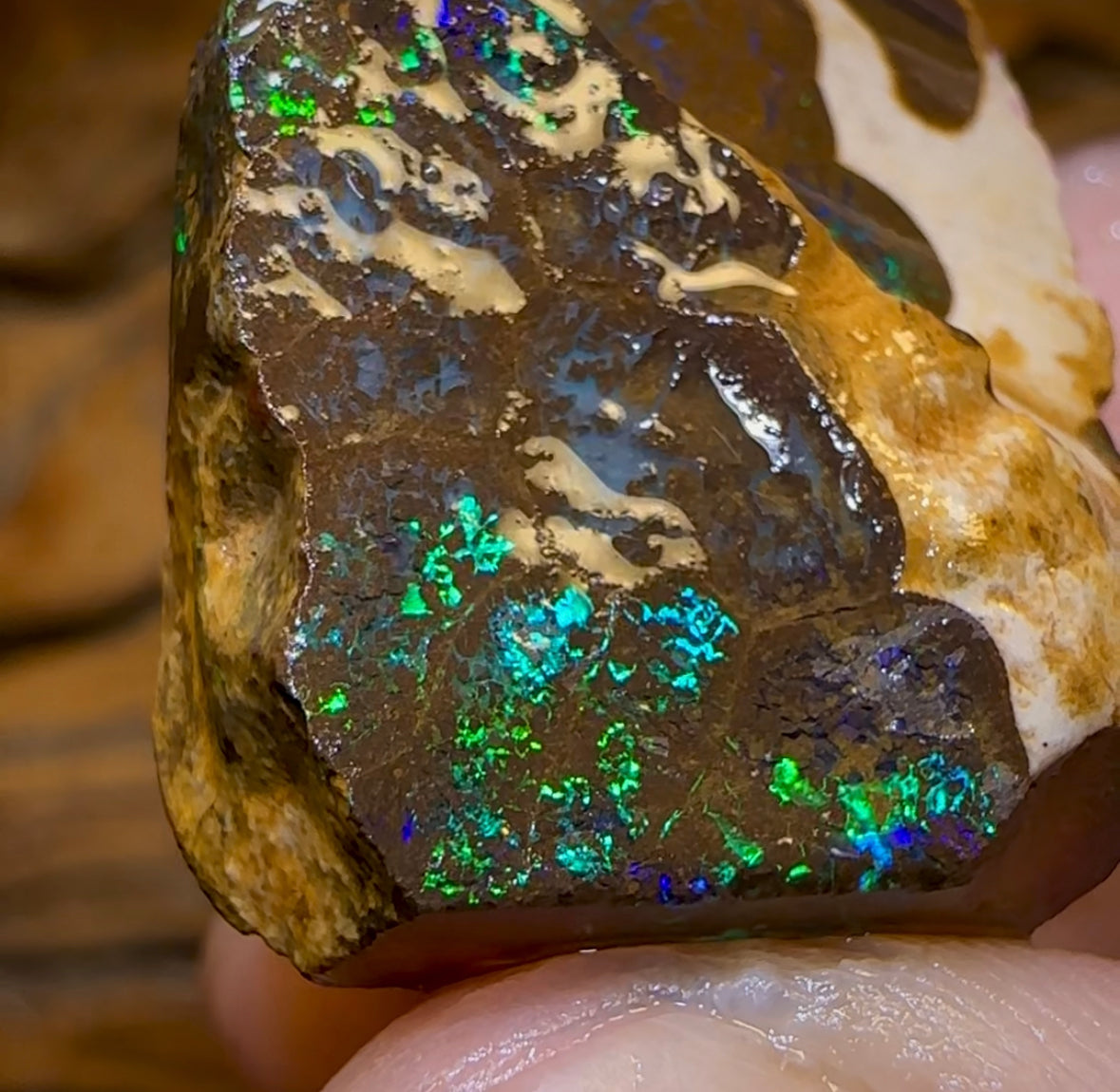 (Template) 93cts - Australian Boulder Opal Rough Piece. Bubble Band - Opal Whisperers