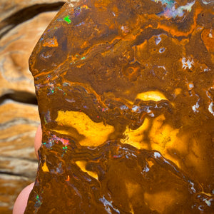 331.3cts - Queensland Boulder Opal Rough Rub from Yowah