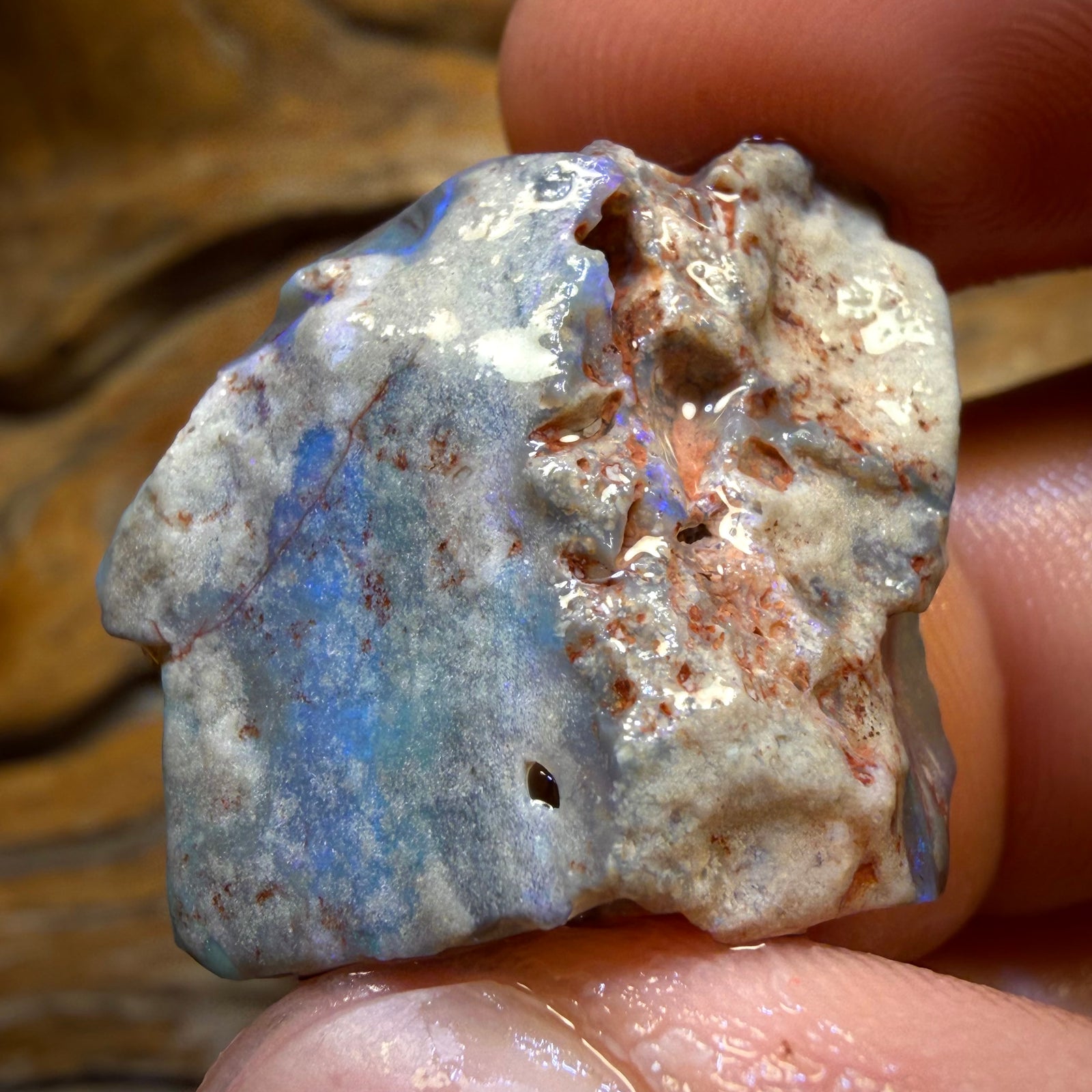35.3cts - Lightning Ridge Opal Rough Piece