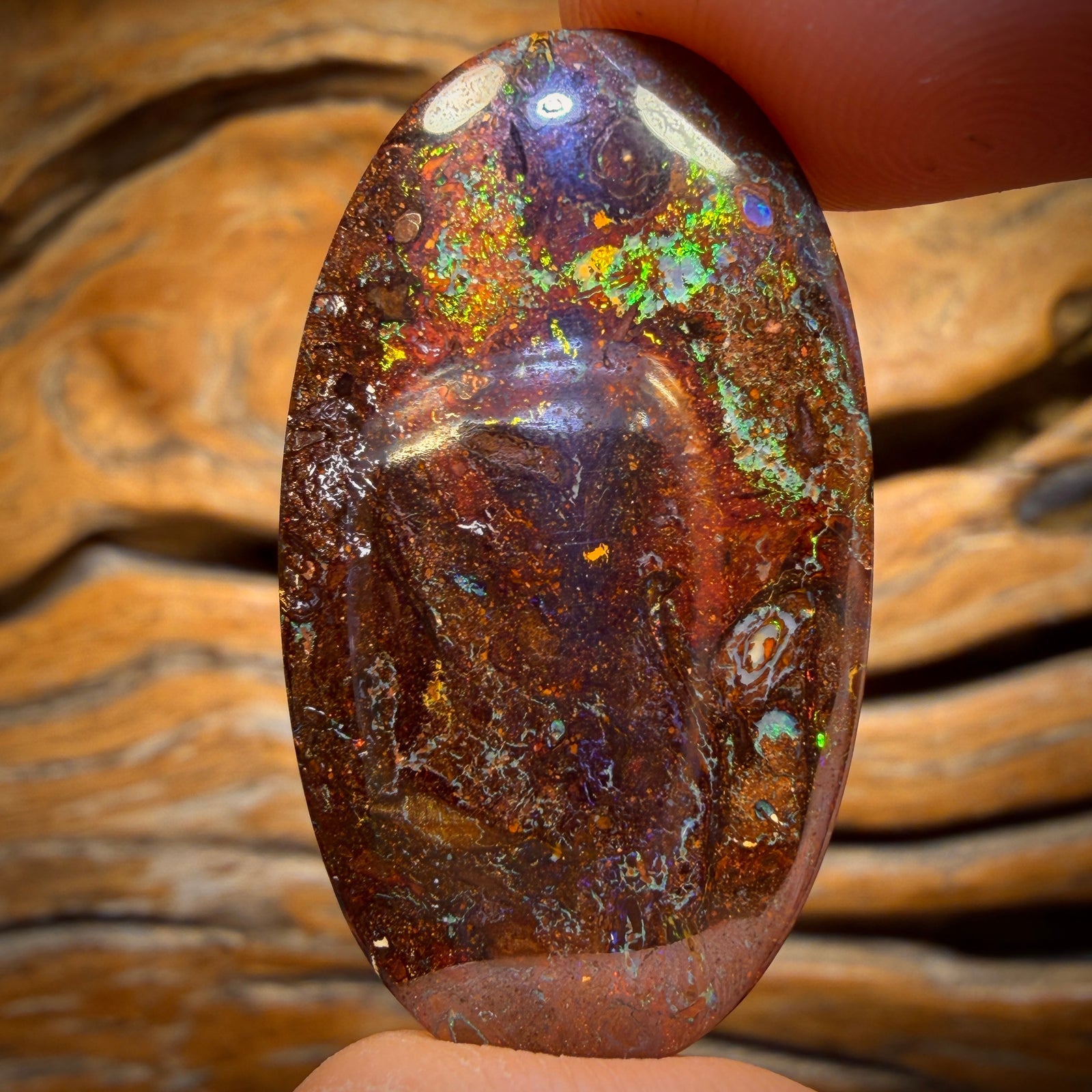 35.6cts - Tribal Queensland Boulder Opal from Yowah