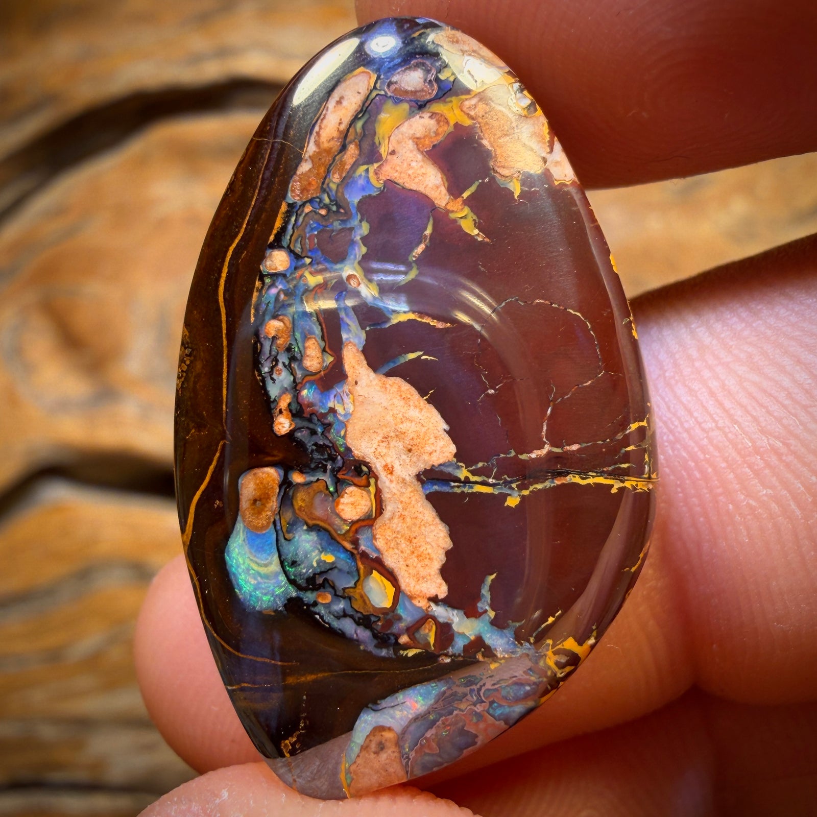 35.6cts - Tribal Queensland Boulder Opal from Yowah