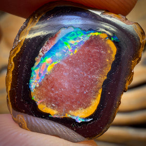 Collectors Card ! 46.9cts - Yowah Nut Partial Crystal Centre Opal Pair Polished