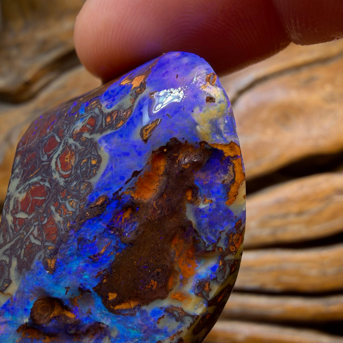 HDW 121.9cts - Tribal Yowah Nut Opal Rough Rub