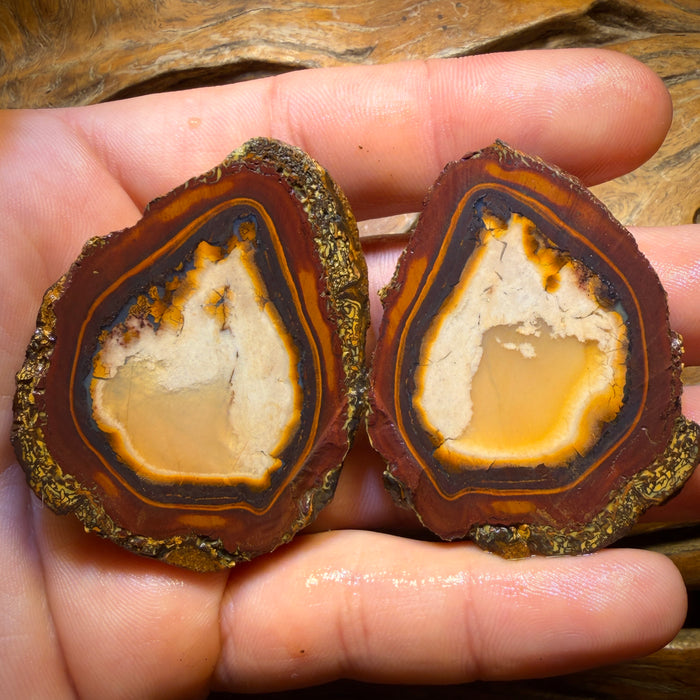 353.5cts - RARE Yowah Nut Partial Crystal Centre Rough Specimen Pair
