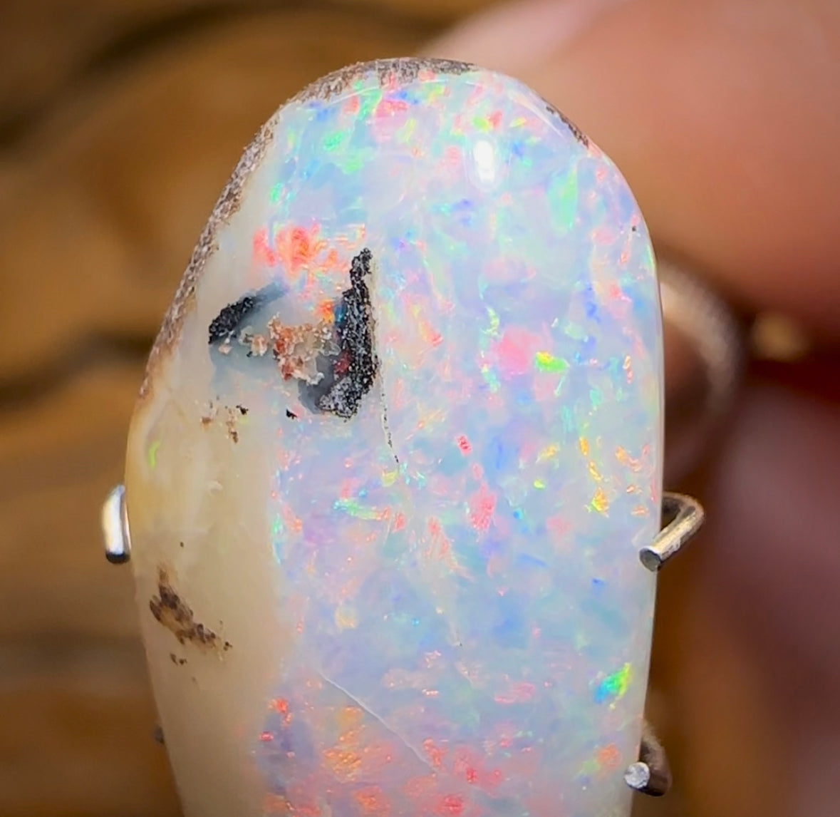 7.2cts - Solid Australian Boulder Pipe Opal