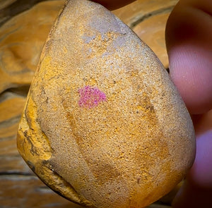 235cts - Tan Tribal Queensland Boulder Opal. Polished Specimen