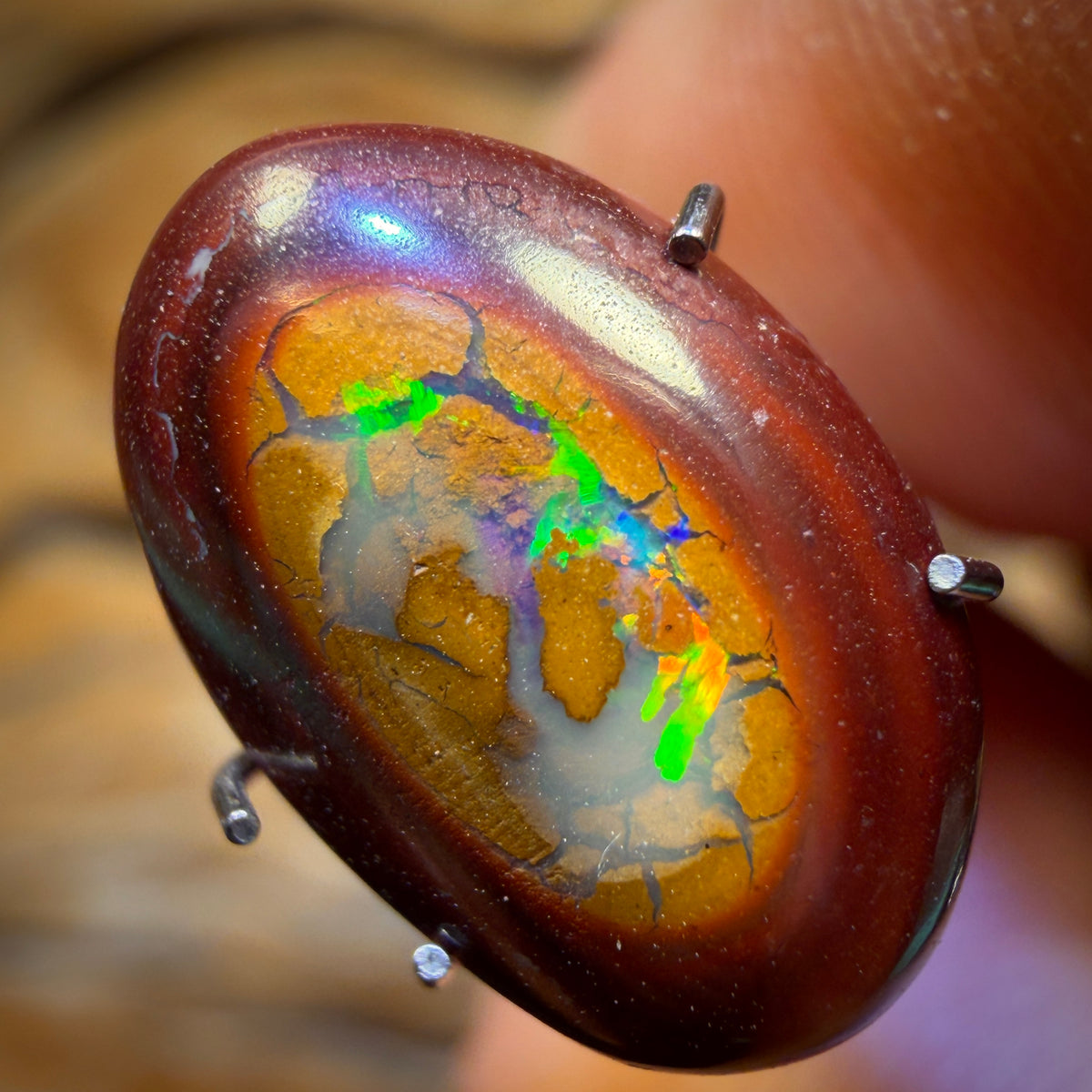 🔨 AUCTION 🔨 3.8cts - Yowah Nut Partial Crystal Centre Opal. Australian Boulder Opal