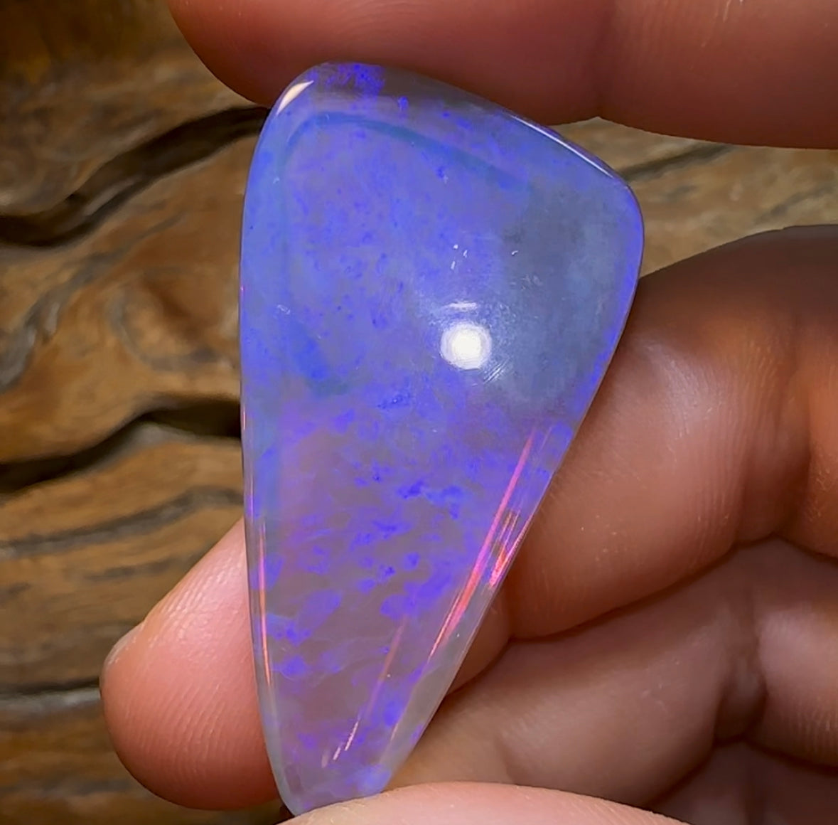 51.3cts - BIG Lightning Ridge Crystal Opal - Opal Whisperers