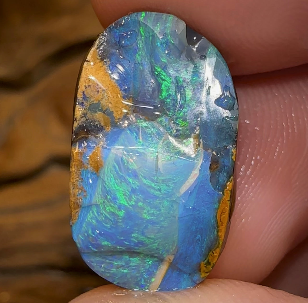 Opal Consultancy: Live Video Sessions with the Experts & Save Up to 30% - Opal Whisperers