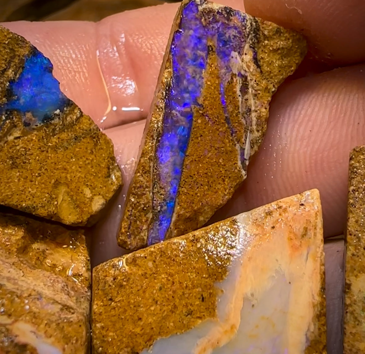 227cts - 5x Queensland Boulder Pipe Opal Rough Parcel