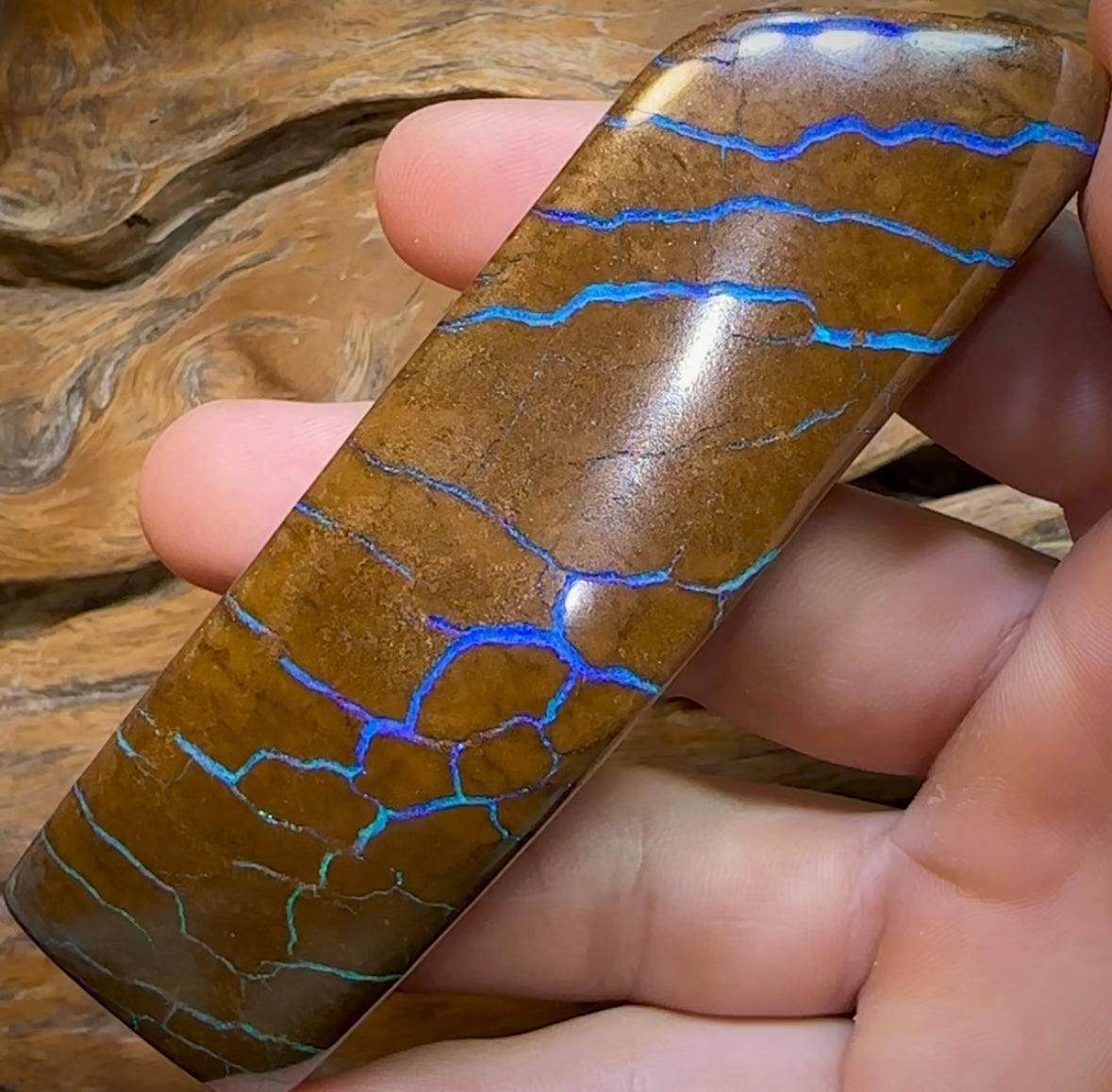 760.9cts - Polished Queensland Boulder Opal Specimen. Massive Heritage Piece - Opal Whisperers