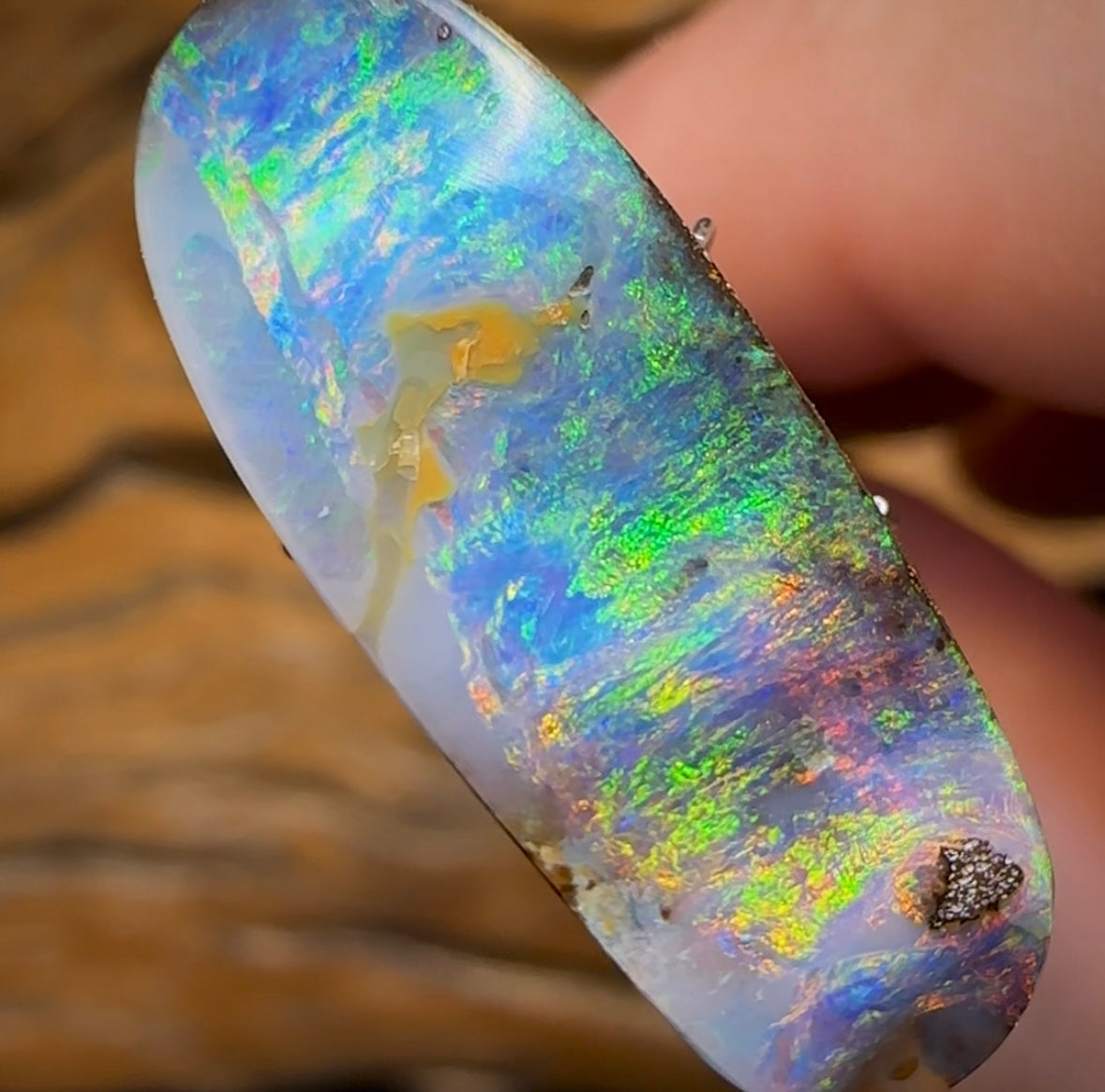 17.7cts - Queensland Boulder Seam Opal