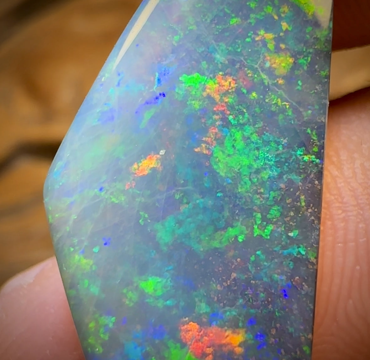 15.6cts - GEM Queensland Boulder Seam Opal