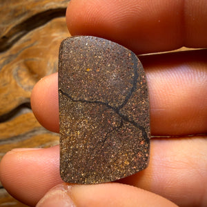 48.1cts - Top Australian Boulder Seam Opal from Winton