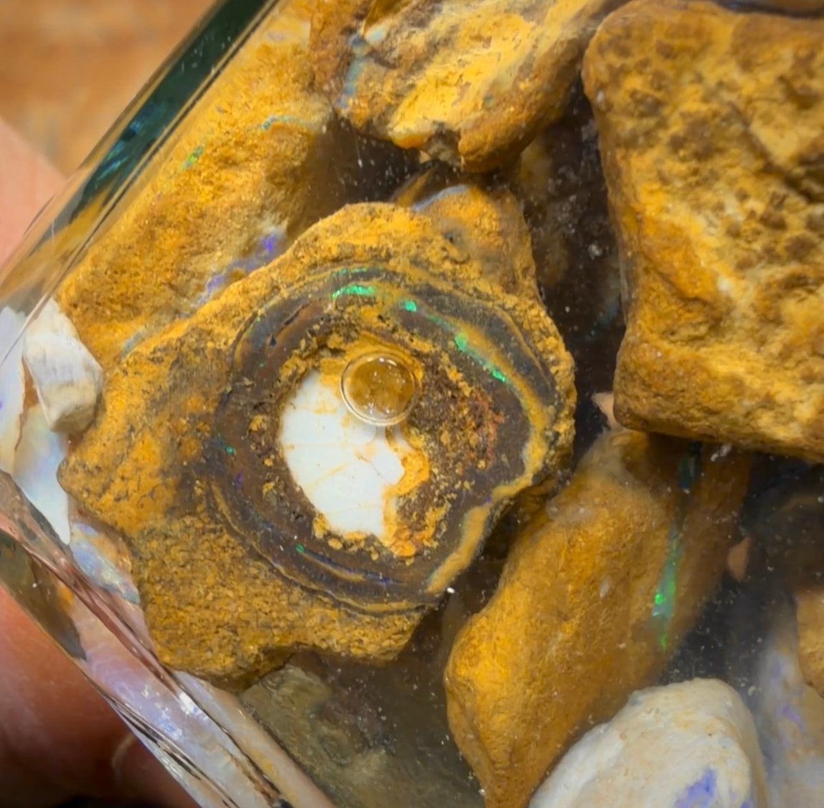 616,5 ct – Glas mit Yowah-Nussopal-Rohsteinen und fossilem Opal