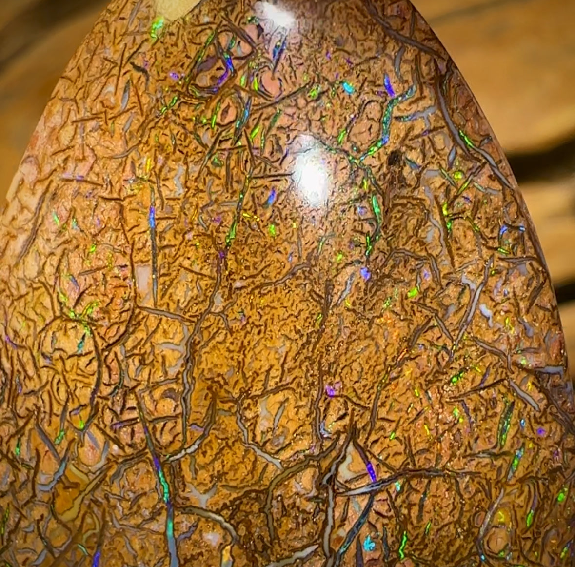 61.7cts - Tight Tan Tribal Yowah Nut Opal. Australian Opal