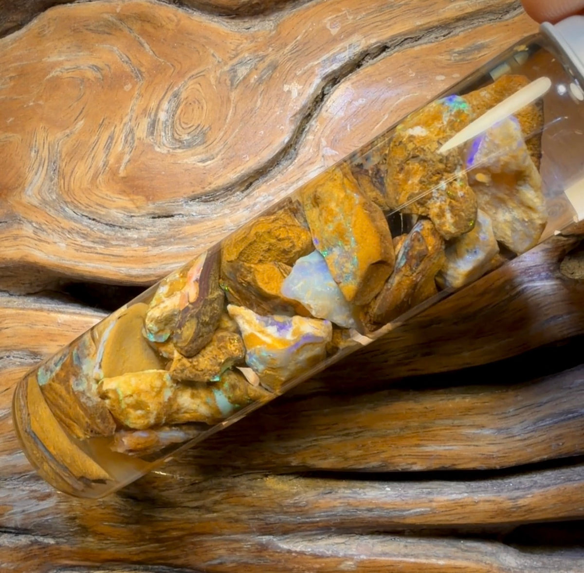 121,8 ct – Phiole mit Yowah-Nussopal-Rohstein und fossilem Opal