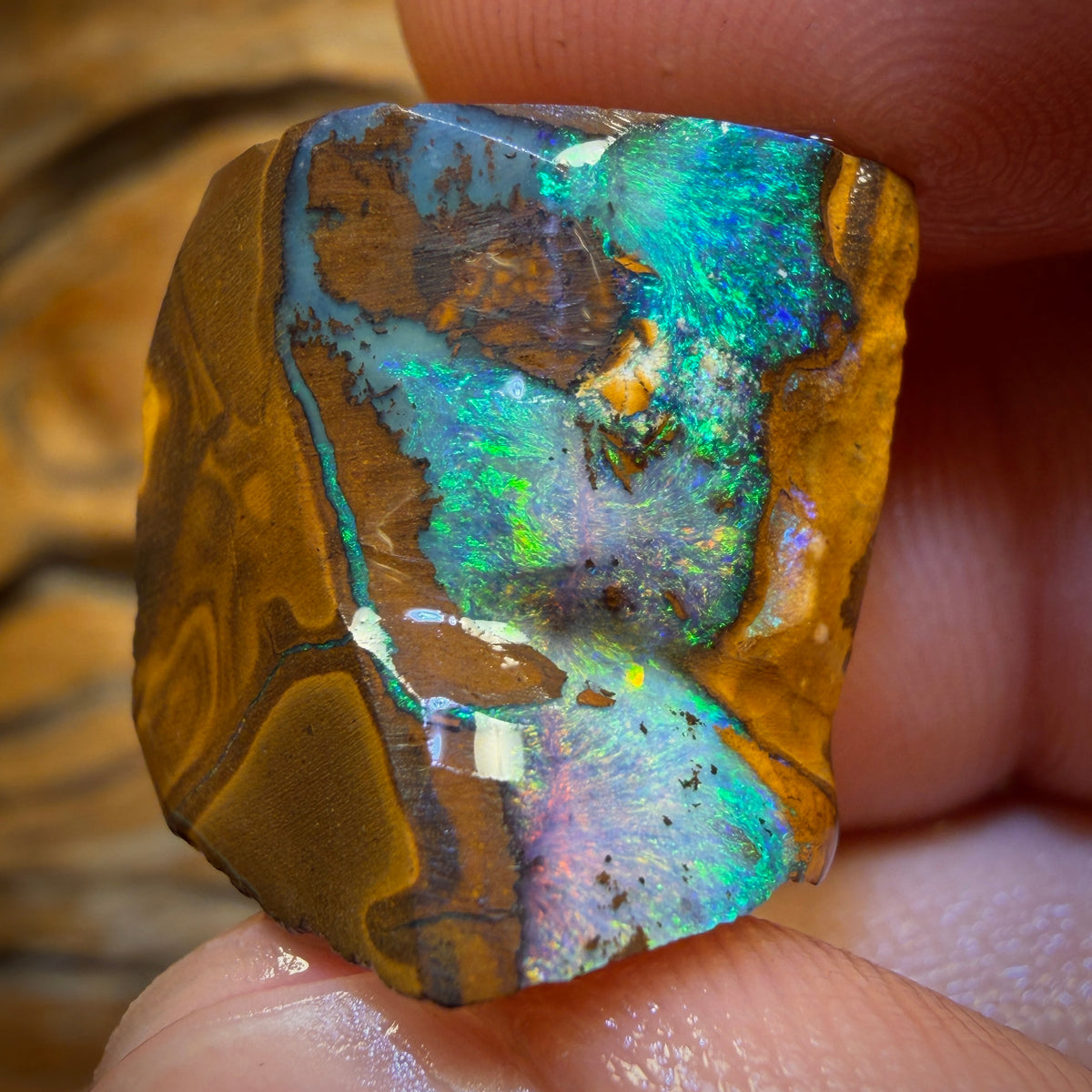 36.6cts - Queensland Boulder Seam Opal Rub
