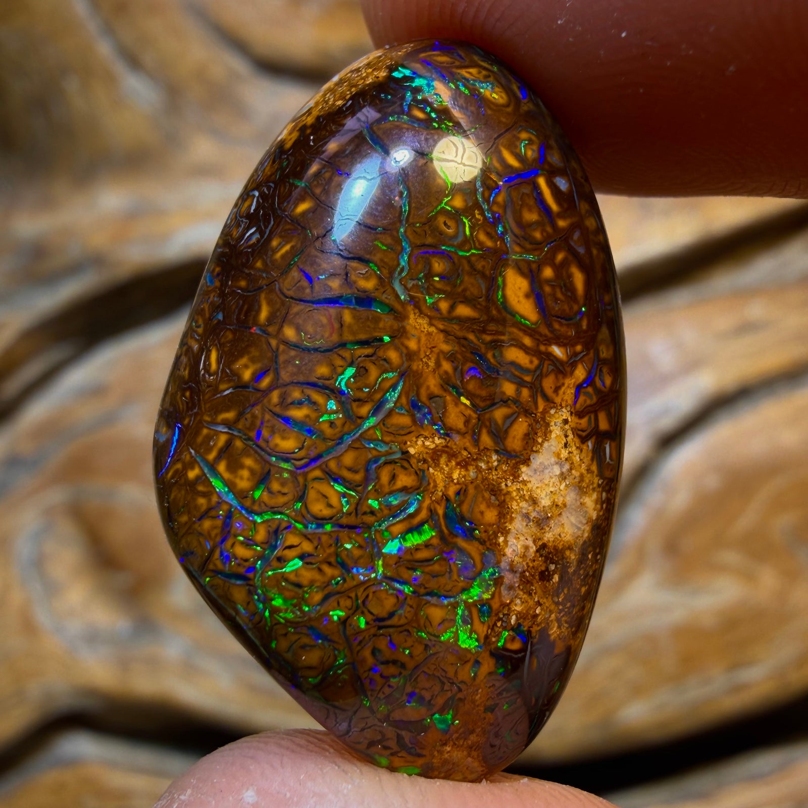 36.6cts - Tribal Yowah Nut Opal. Electric Green!