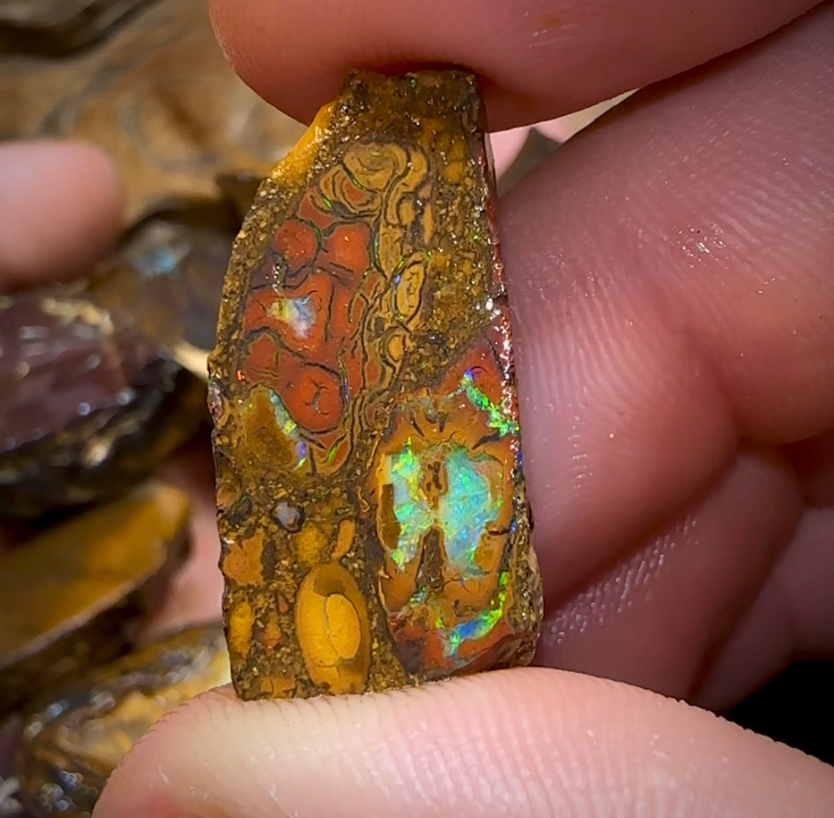 317.9g - 15x Yowah Nut Rough Pieces. Tribal and Crystal Centres Australian Opal - Opal Whisperers