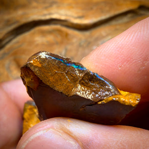 Bargain Card! 206.4cts - 5x Australian Boulder Opal Rough Parcel