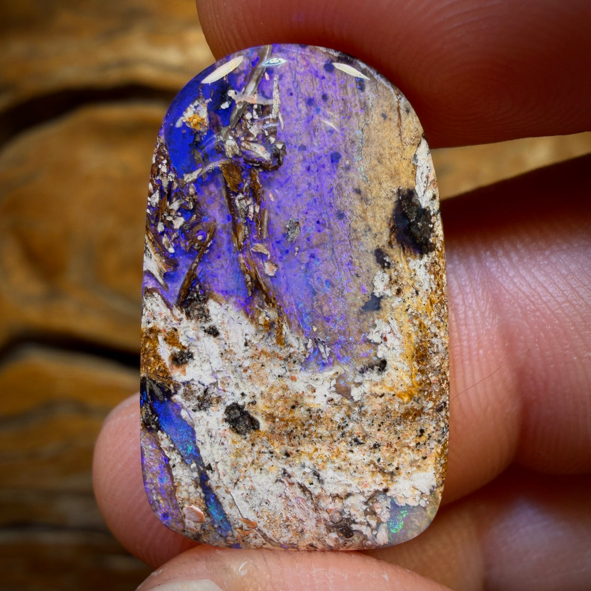 14,9 ct - Opale boulder australienne massive, pierre récifale aquatique