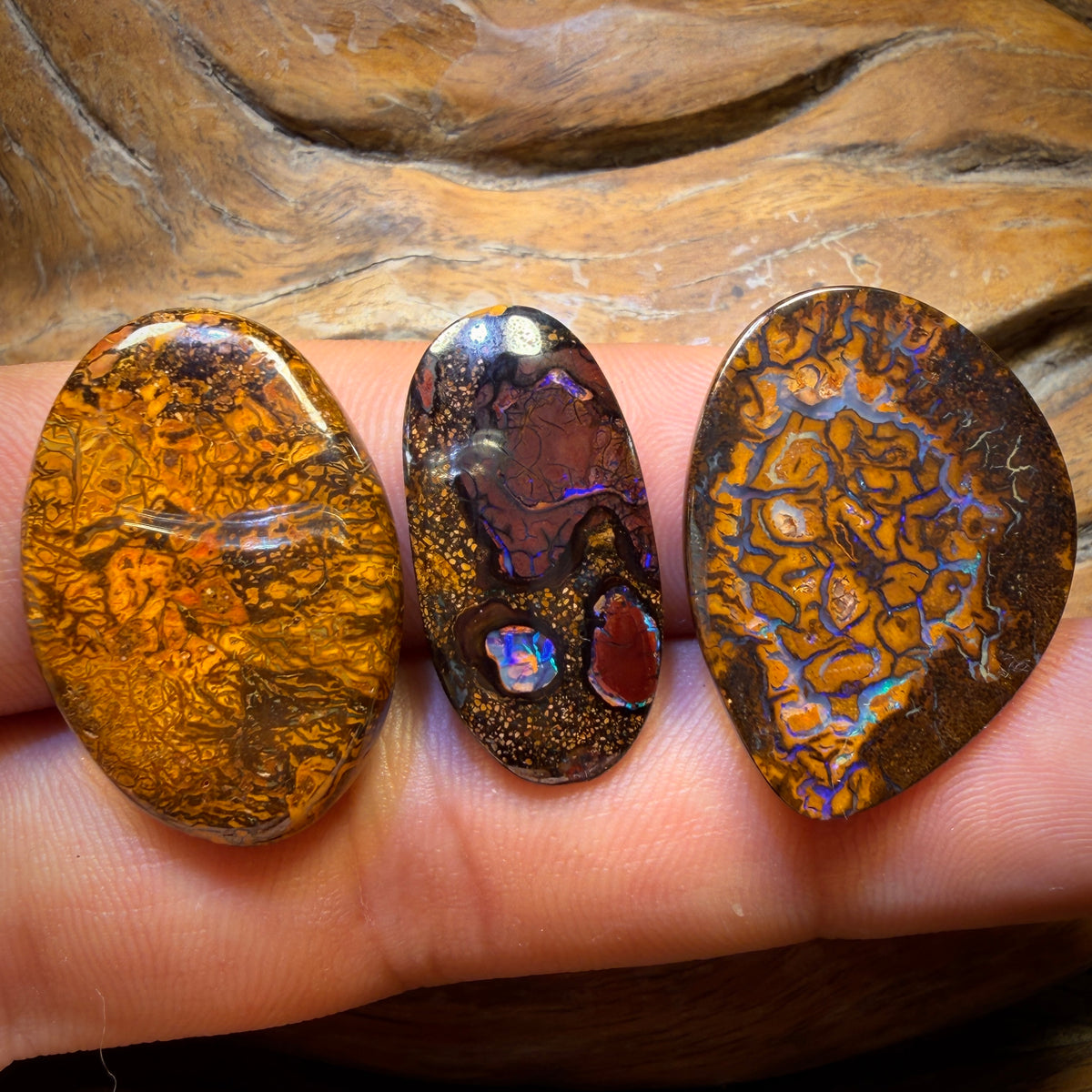66.3cts - 3x Australian Tribal Boulder Opal’s. Wholesale Parcel
