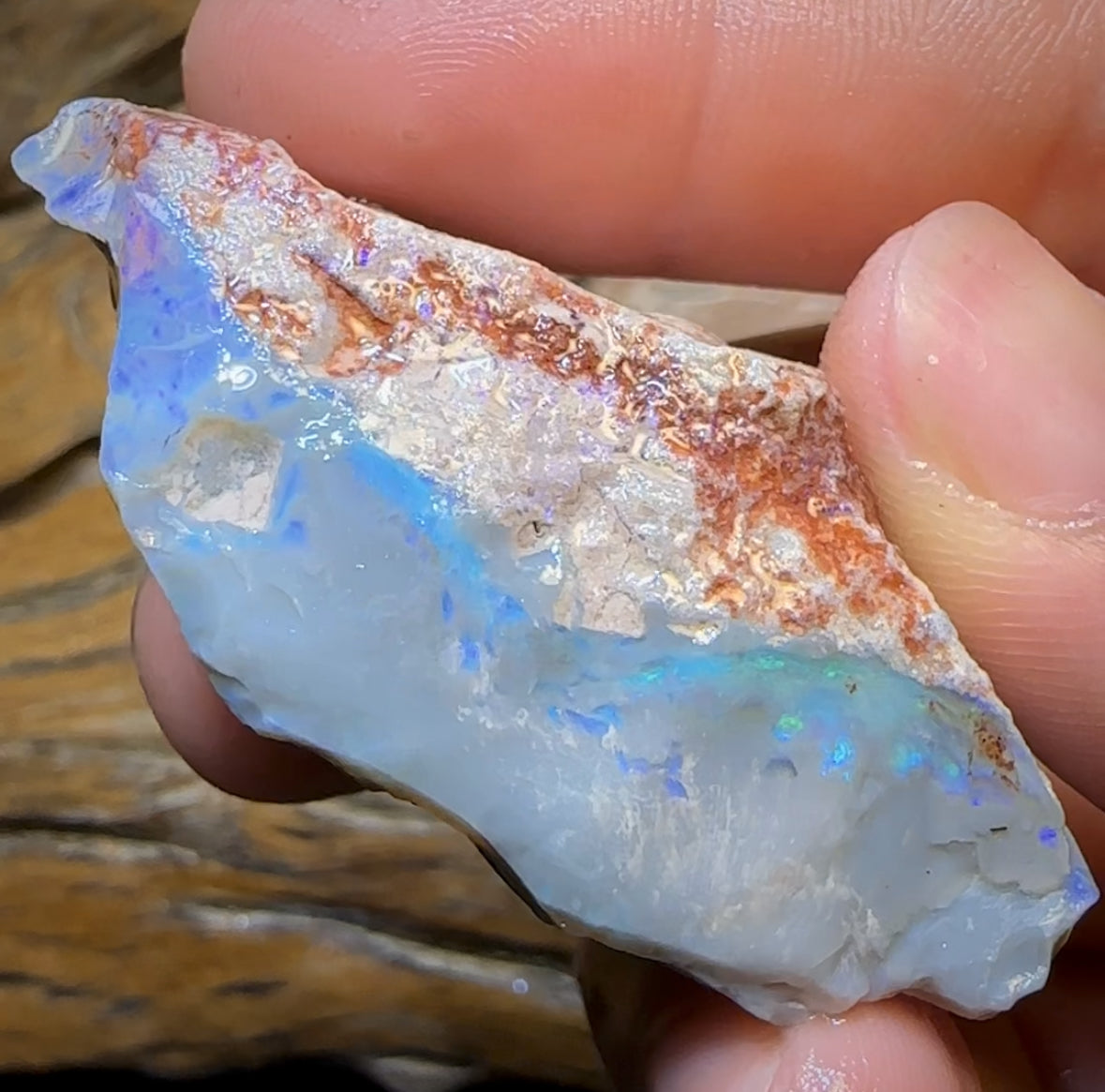 186.8cts - Large Lightning Ridge Opal Rough Piece. GEM Cutter!
