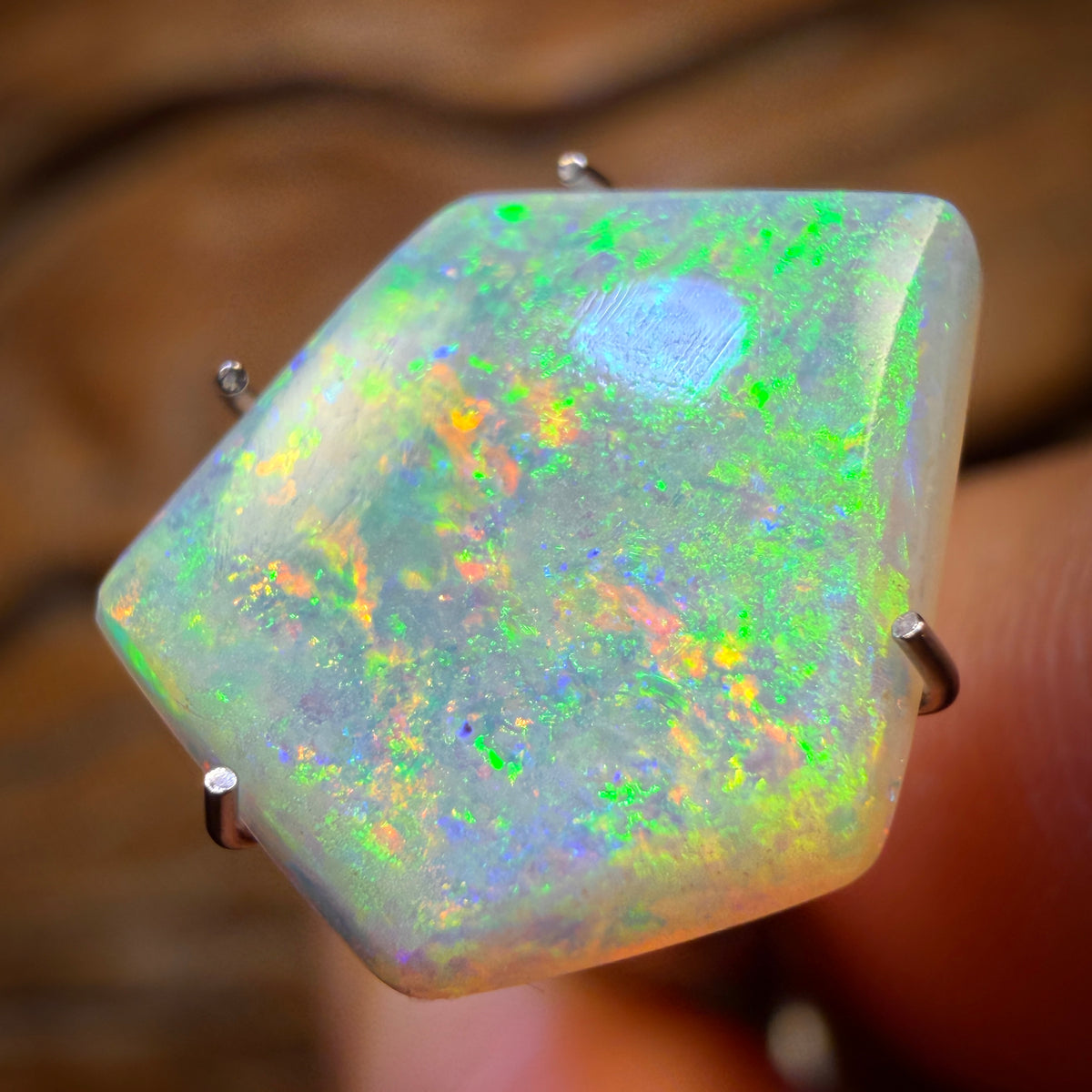🔨 AUCTION 🔨 No Reserve 2.5cts - Rare South Australian Crystal Opal