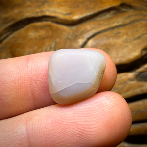 ALex Auction 9.9cts - Opale noire rare d'Australie du Sud de Mintabie