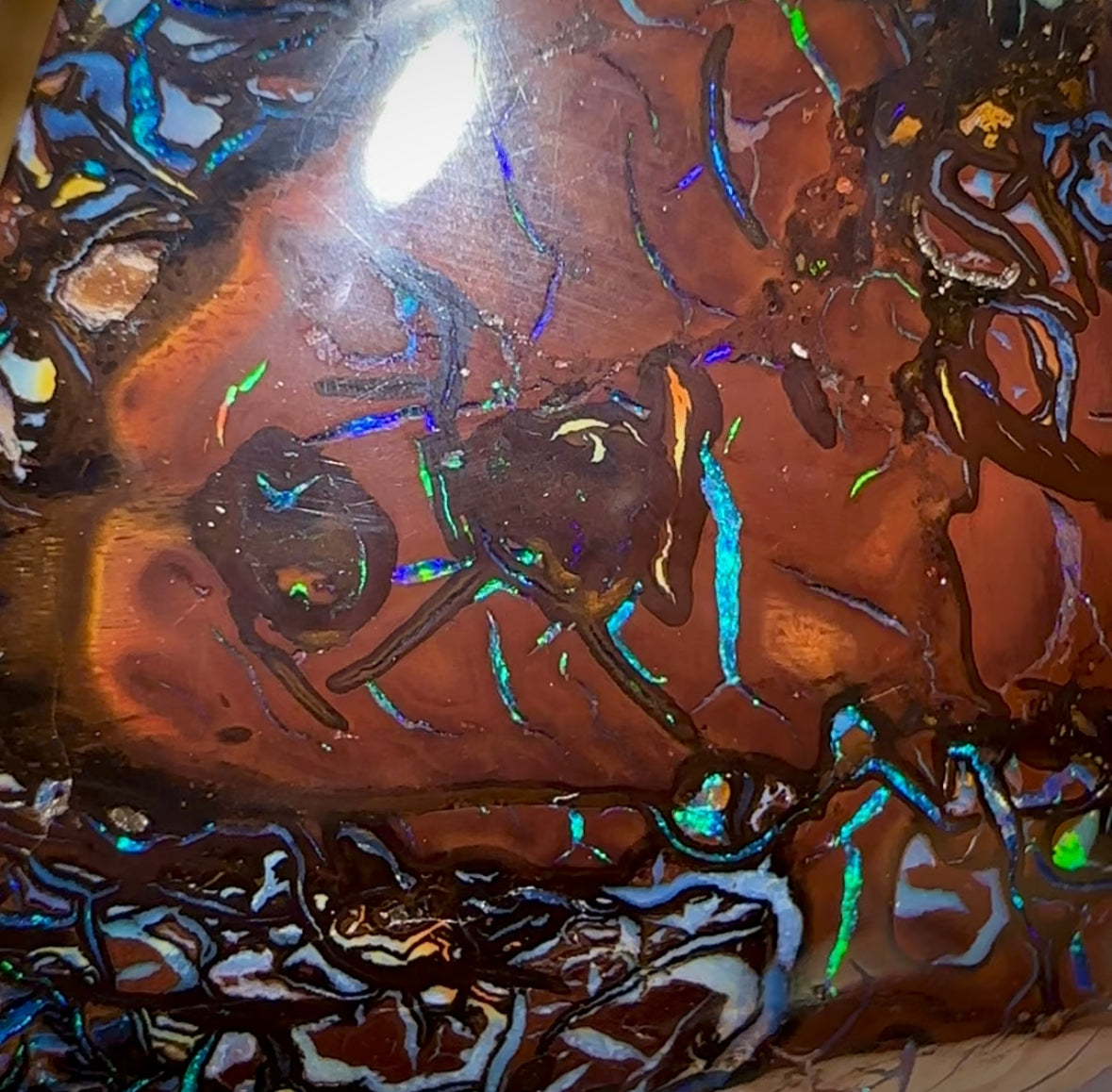 97.5cts - Tribal Australian Boulder Opal. Heritage Collection - Opal Whisperers