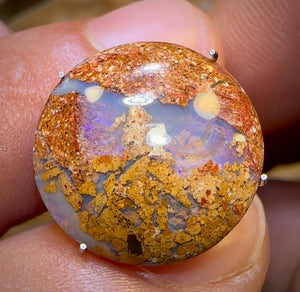 6.5cts - Solid Australian Boulder Pipe Opal BARGAIN