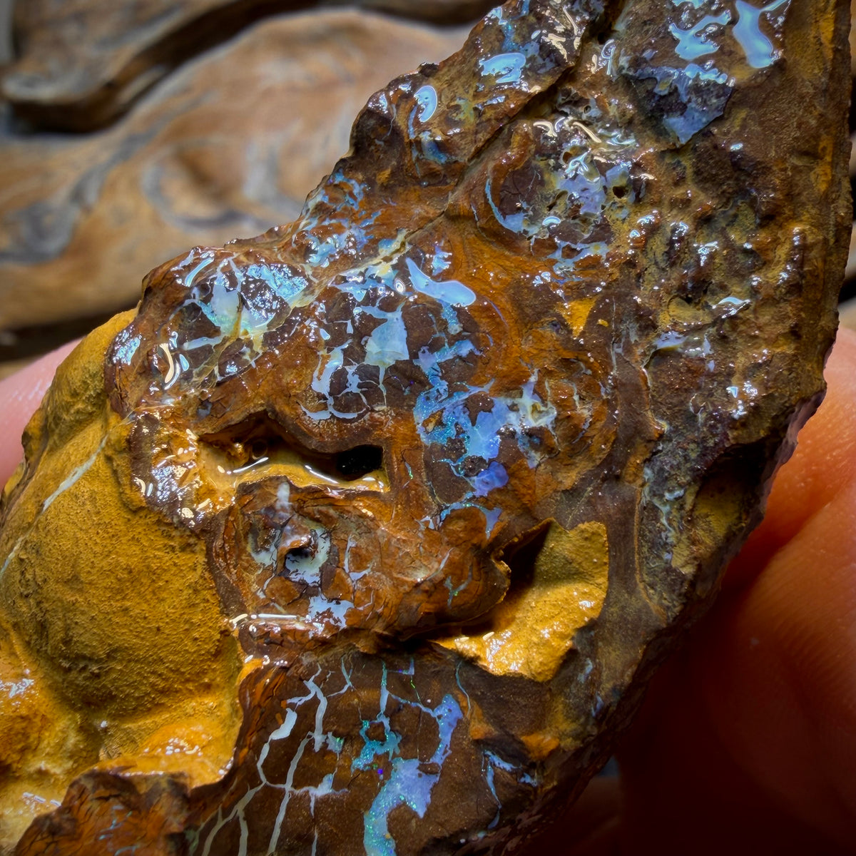 Dad Card! 1110cts - Large Queensland Boulder Opal Rough Piece. Bubble Band