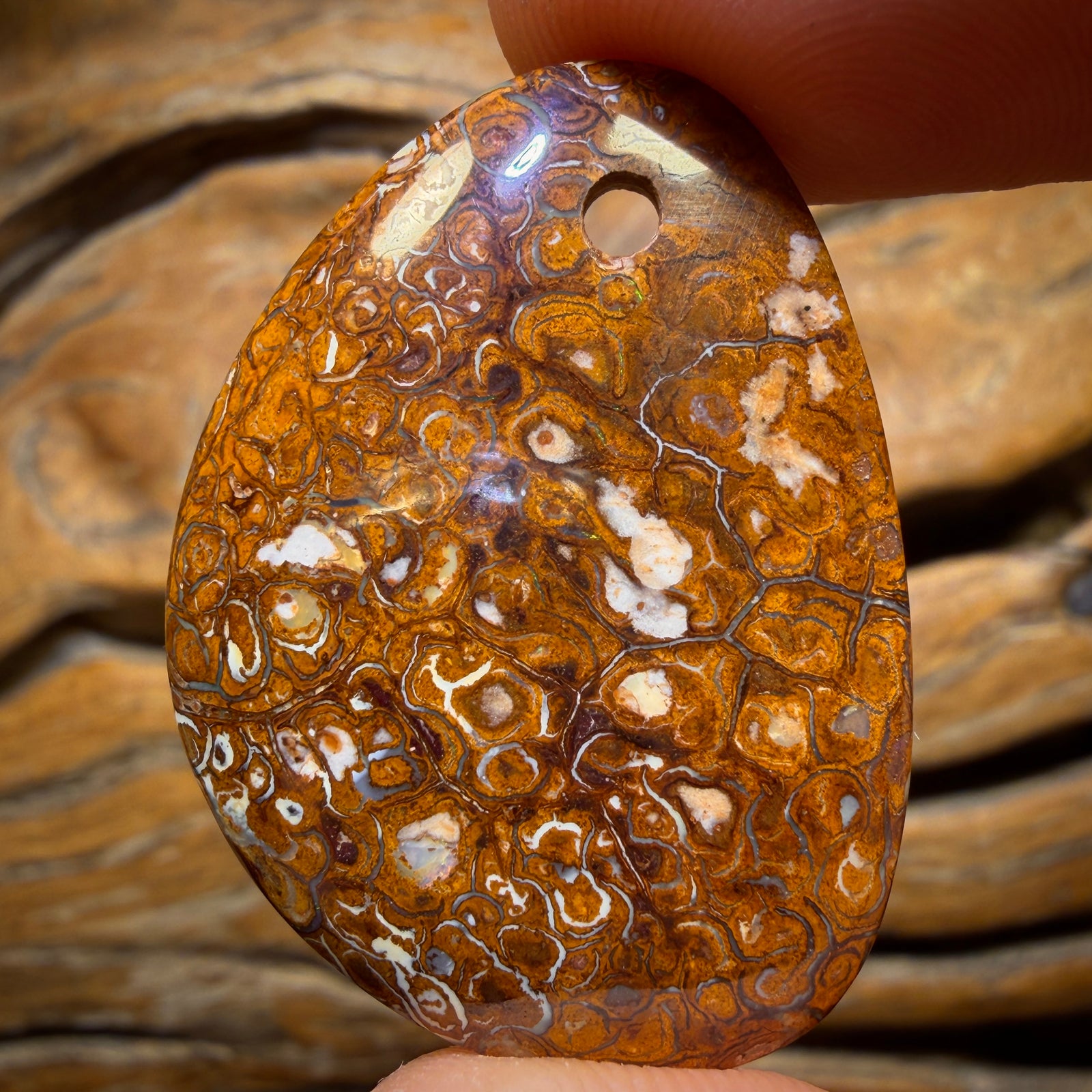 36 x 27mm - Drilled Tribal Queensland Boulder Opal